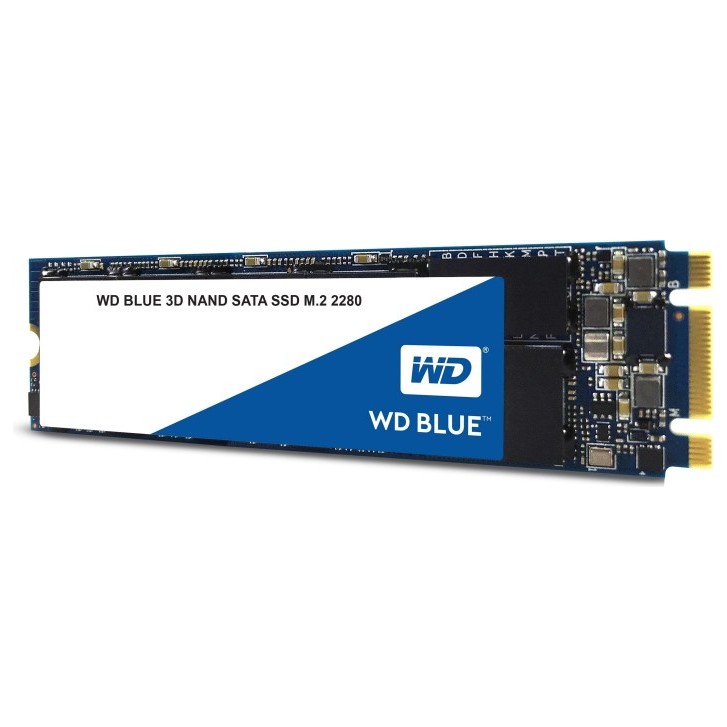 Western Digital WD Blue 3D NAND SATA SSD 500GB, M.2