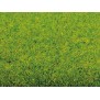 NOCH 00020 Grasmatte “Frühlingswiese” 300 x 100 cm