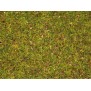 NOCH 08330 Streugras “Blumenwiese” 2,5 mm, 20 g