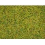 NOCH 50190 Streugras “Sommerwiese” 2,5 mm, 100 g