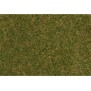 Faller 170234 Streufasern Wildgras, braungrün, 4 mm, 80 g Epoche